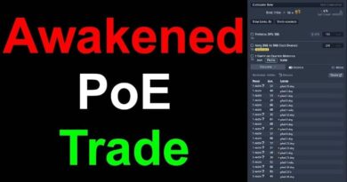awakened poe trade error code 1020